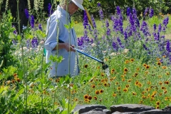 Partner Julie waters the gardens.