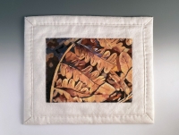 22-Dried-Ferns