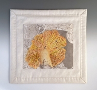 9-Chanterelles