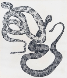 Chaisson-snake-web