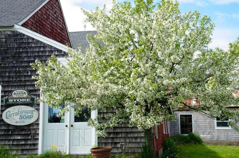 GoodKarmaFarm