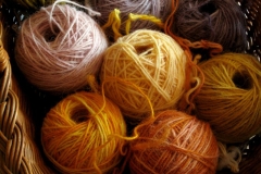 ShantiNatDyeYarns7261_webgall