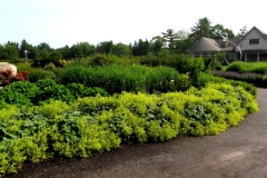 coastal botanical grounds